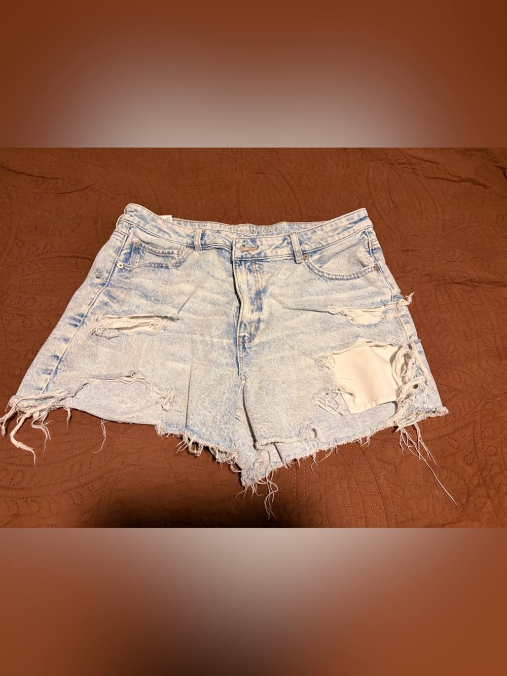 American Eagle Outfitters Light Blue Distressed Denim Shorts